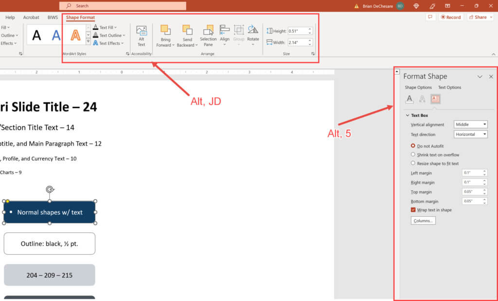 Formatting Shape Options in PowerPoint